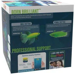 3 Gallon Betta Aquarium Kit