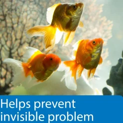 5 in 1 Aquarium Test Strips