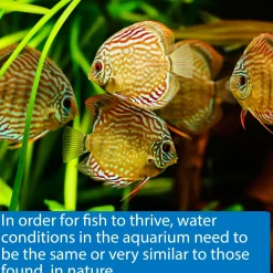 5 in 1 Aquarium Test Strips