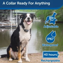 100 Metre Lite Remote Trainer Dog Collar