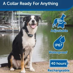 600 Metre Remote Trainer Dog Collar