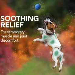 Aches + Pains Dog Supplement
