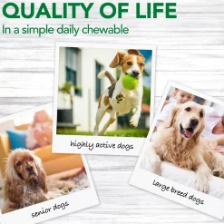 Aches + Pains Dog Supplement