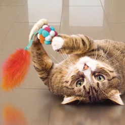 Active Bubble Ball Assorted Cat Toy
