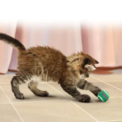 Active Tennis Balls With Bells Cat Toys