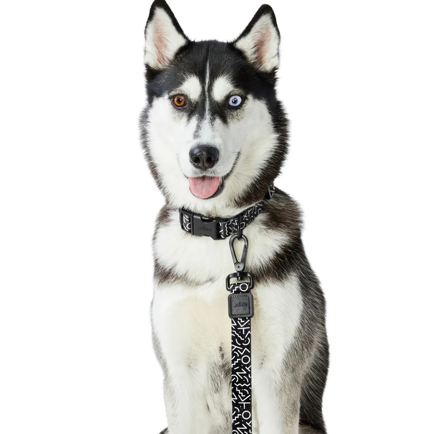 Adjustable Black & White Dog Collar