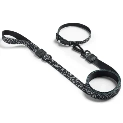 Adjustable Black & White Dog Collar