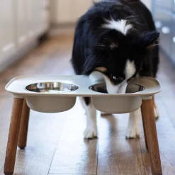 Adjustable Elevated Light Grey Double Feeder with Stainless Bowls