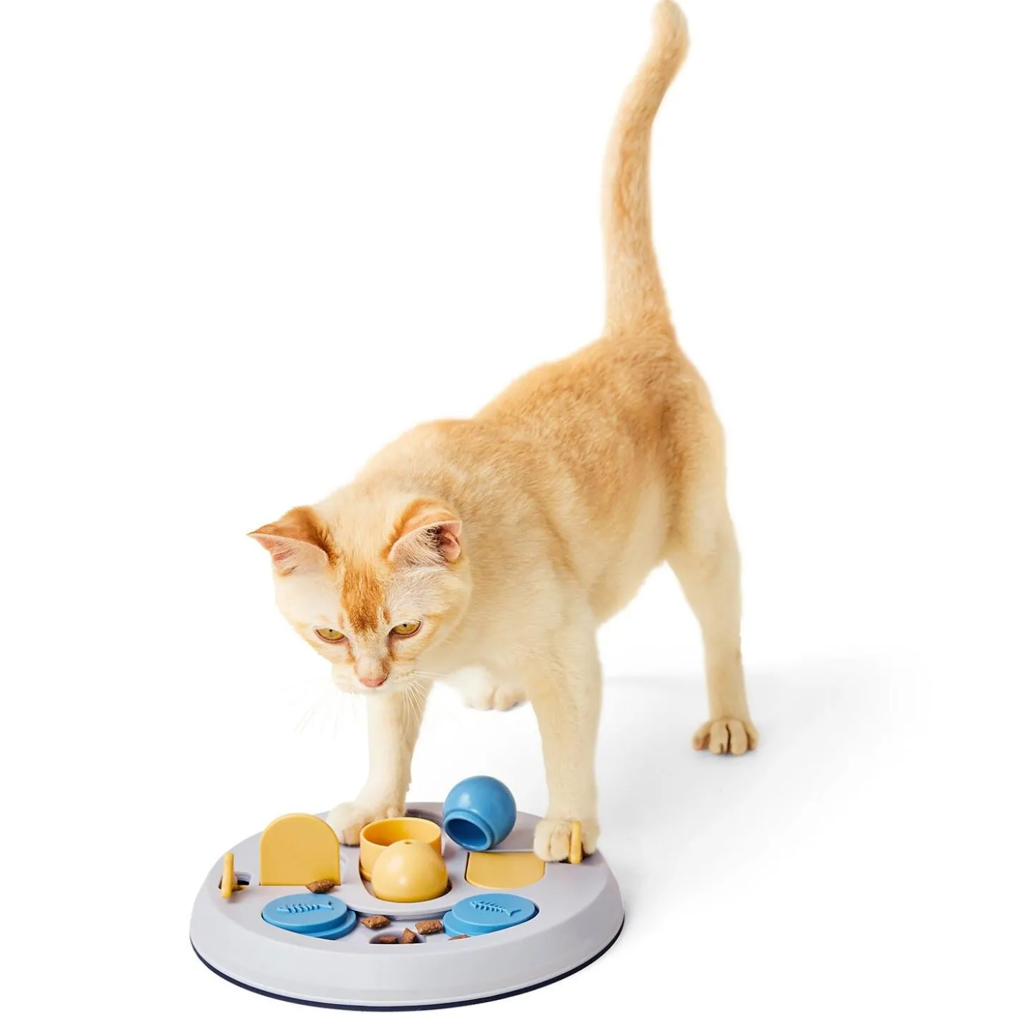 Advanced Flip Board Puzzle Cat Toy