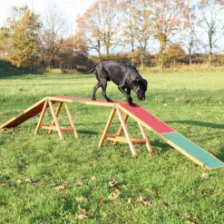 Agility Dogwalk