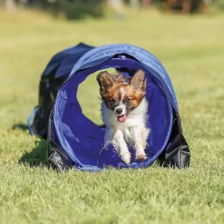 Agility Tunnel