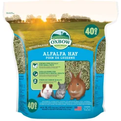 Alfalfa Hay
