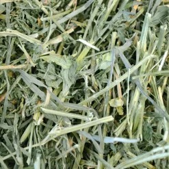 Alfalfa Hay