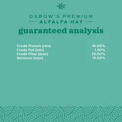 Alfalfa Hay