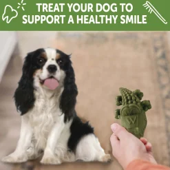 Alligator Small Chews Dog Treats
