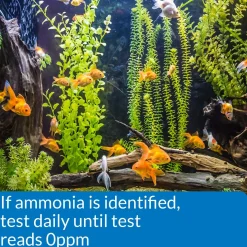 Ammonia Test Strips for Freshwater and Saltwater Aquariums