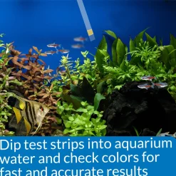 Ammonia Test Strips for Freshwater and Saltwater Aquariums