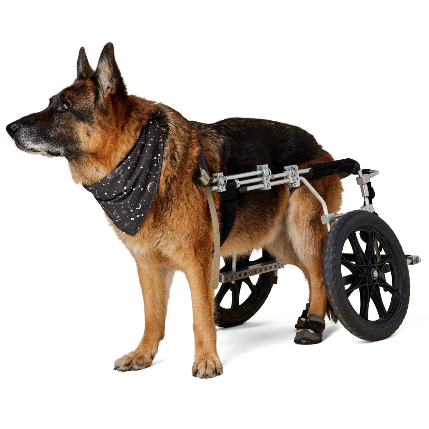 Astrological Grey Bandana