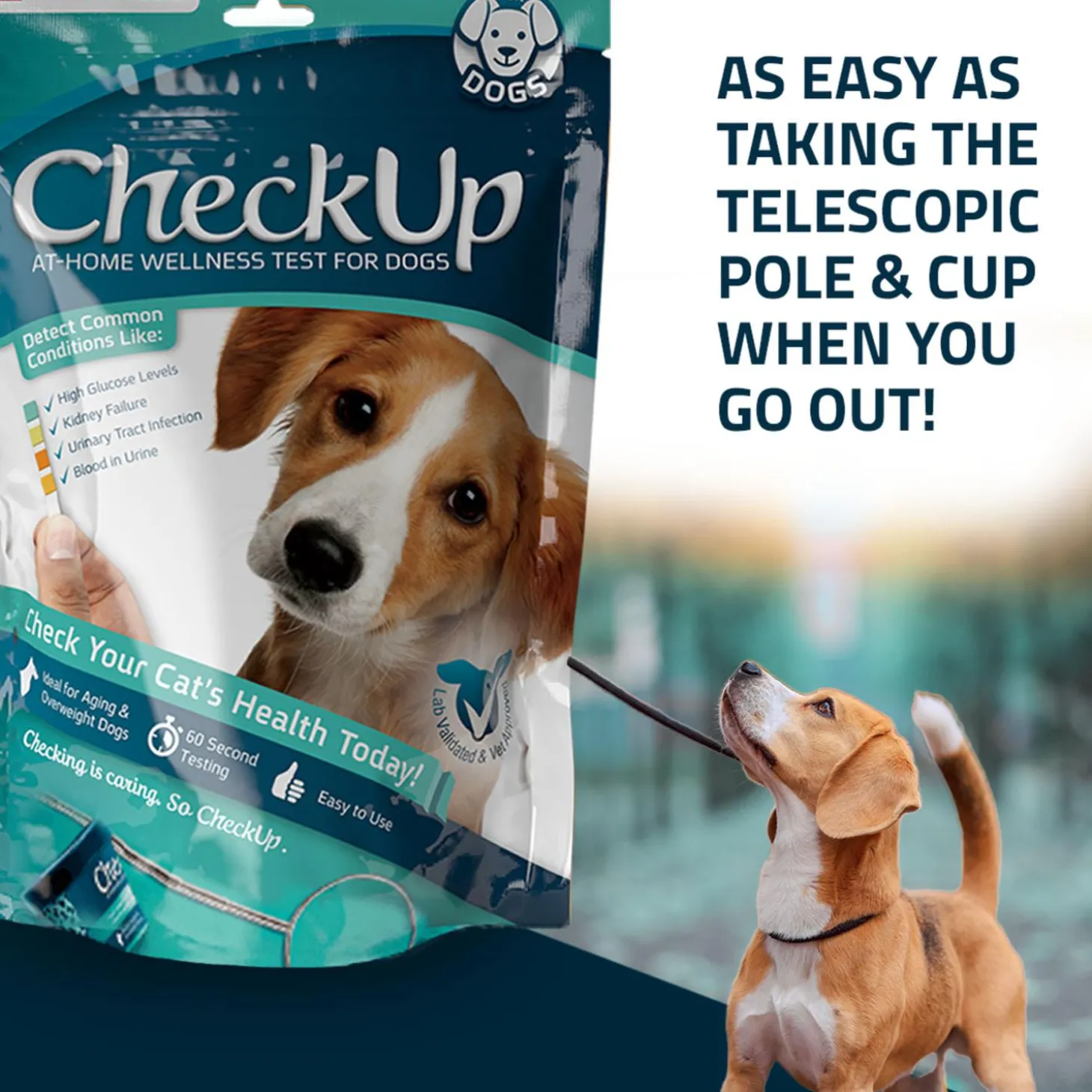 At Home Wellness Test for Dogs