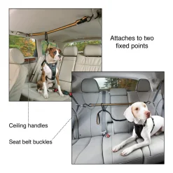 Auto Zip Line With Leash