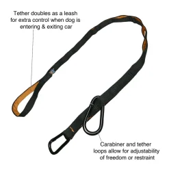 Auto Zip Line With Leash