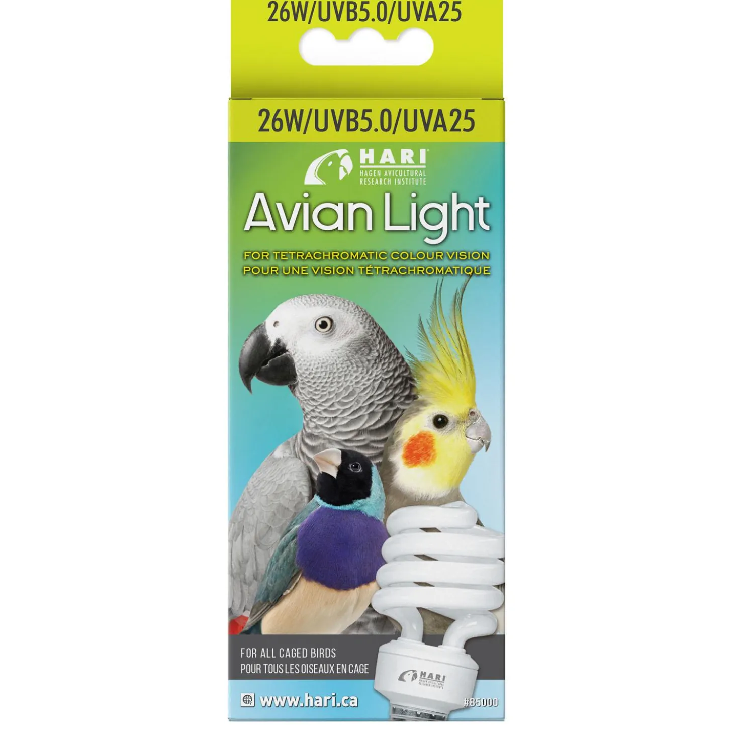 Avian Light