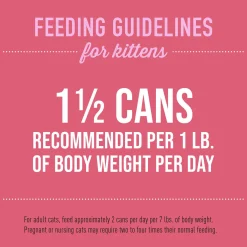 Baby Chicken & Salmon Recipe Kitten Cat Food