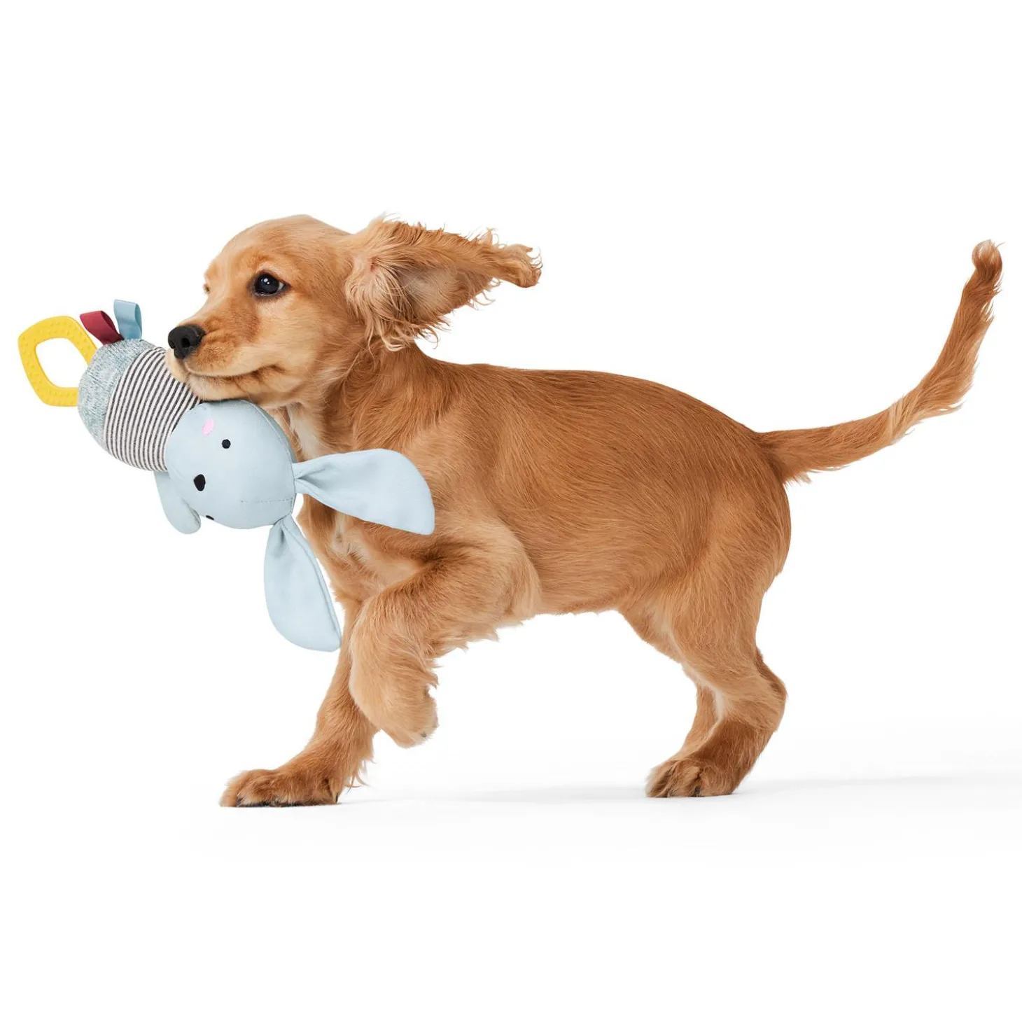 Baby Grey Rabbit Dog Toy