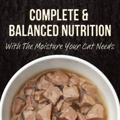 Backcountry Real Chicken Recipe Adult Cat Food
