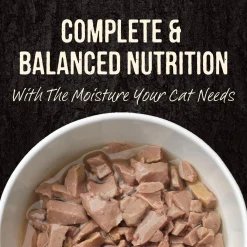 Backcountry Real Turkey Recipe Adult Cat Food