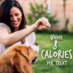 Baked Pumpkin & Apple Flavour Dog Treats