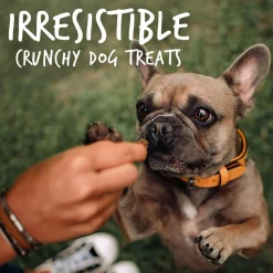 Baked Pumpkin & Banana Flavour Dog Treats