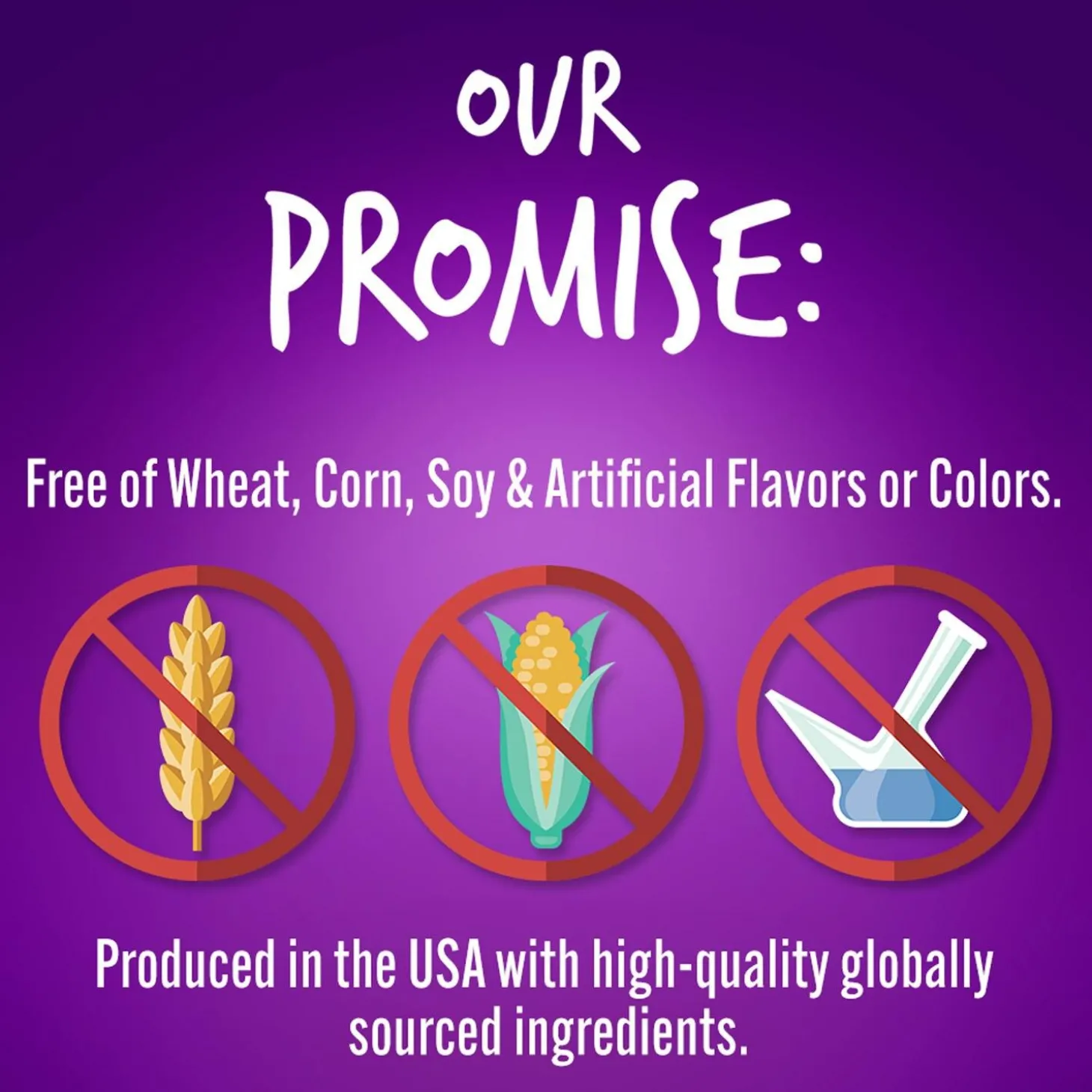 Baked Pumpkin & Blueberry Flavour Dog Treats