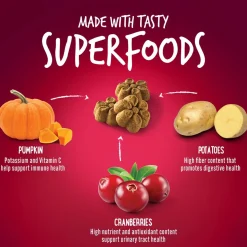 Baked Pumpkin & Cranberry Flavour Dog Treats