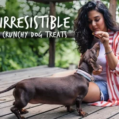 Baked Pumpkin & Cranberry Flavour Dog Treats