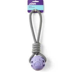 Ball on a Rope Purple Dog Toy
