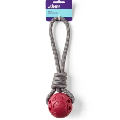 Ball on a Rope Red Dog Toy