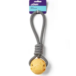 Ball on a Rope Yellow Dog Toy