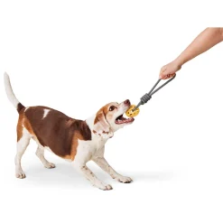 Ball on a Rope Yellow Dog Toy