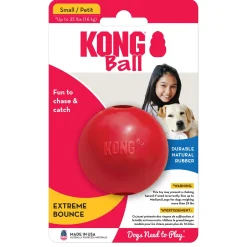 Ball with Hole Dog Toy