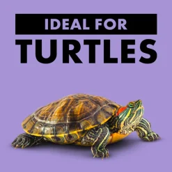 Basking Platform Ramps Corner