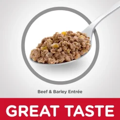 Beef & Barley Entree Adult 7+ Dog Food