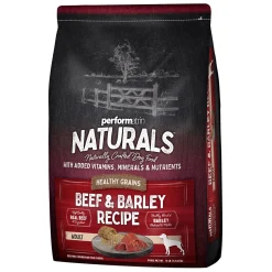 Beef & Barley Healthy Grains Recipe Adult Dog Food
