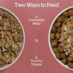 Beef & Rice Dinner Dog Food