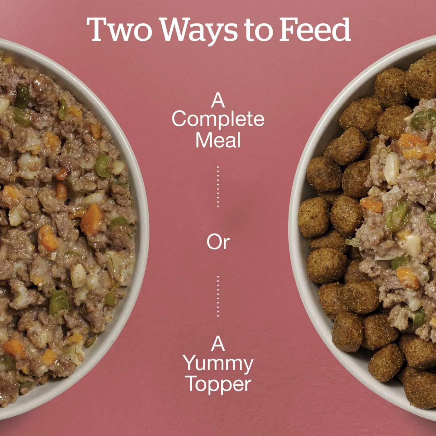 Beef & Rice Dinner Dog Food