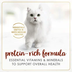 Beef Flavour Feast Pate Adult Cat Food