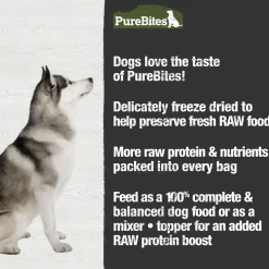 Beef Recipe Dog Food