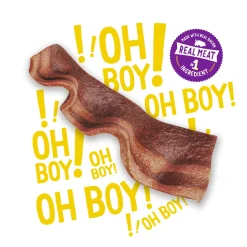 Beggin' Strips with Bacon Dog Treats