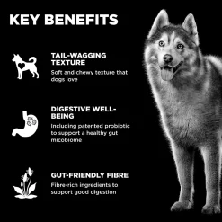 Benefit Chews Digestion + Gut Health Salmon Recipe Dog Treats