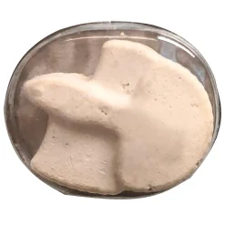 Betta Buffet Blocks Vacation Fish Food